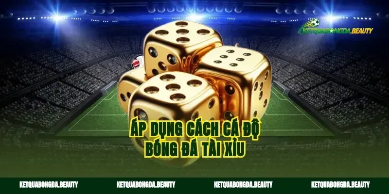 Áp dụng cách cá độ bóng đá tài xỉu