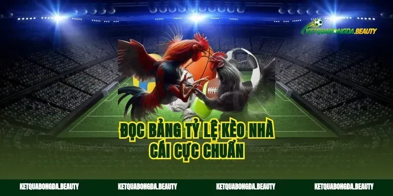 Đọc bảng tỷ lệ kèo nhà cái cực chuẩn