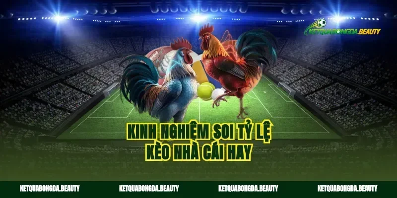 Kinh nghiệm soi tỷ lệ kèo nhà cái hay